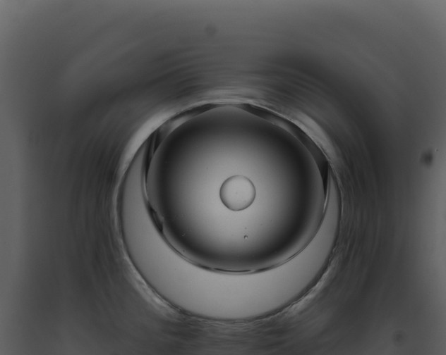 X0000093501196200710191242
