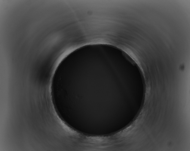 X0000093501197200710191242