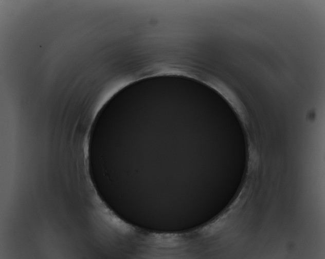 X0000093501198200710191242