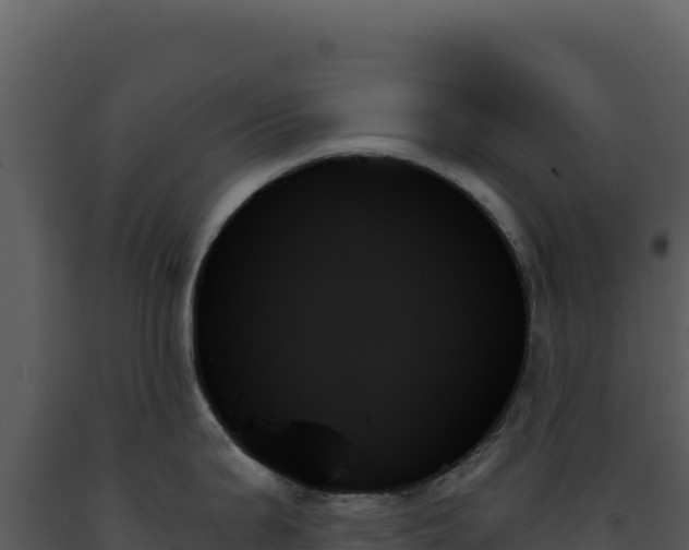 X0000093501199200710191242