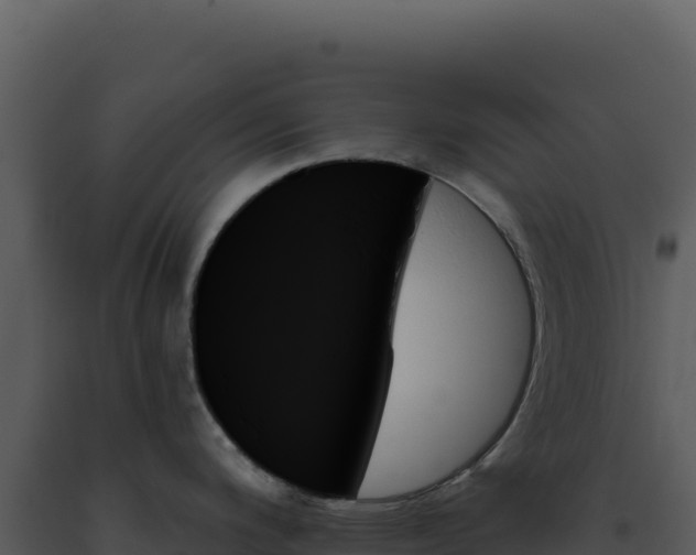 X0000093501200200710191242