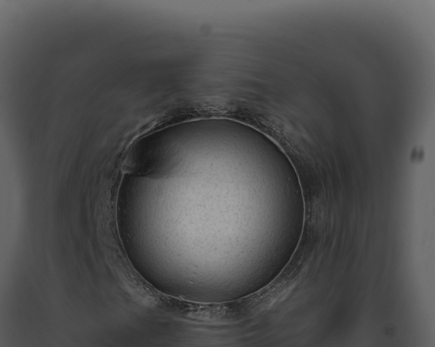 X0000093501201200710191242