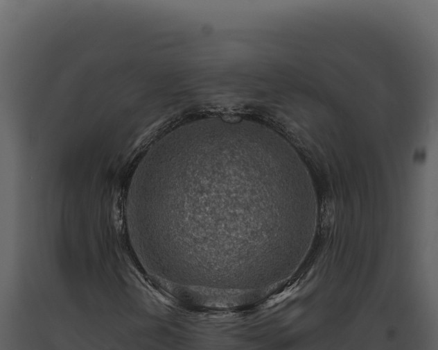 X0000093501202200710191242
