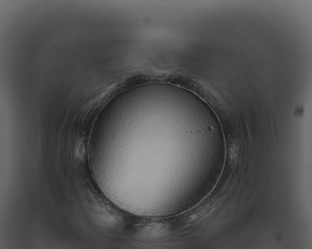 X0000093501204200710191242