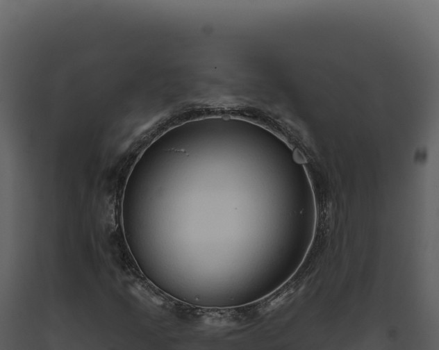 X0000093501205200710191242