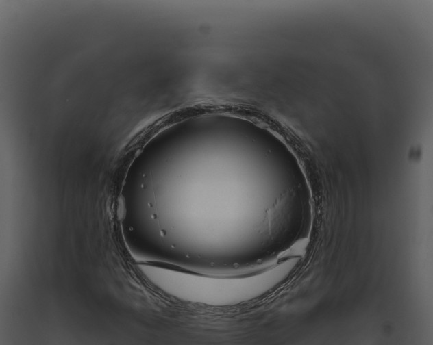 X0000093501206200710191242