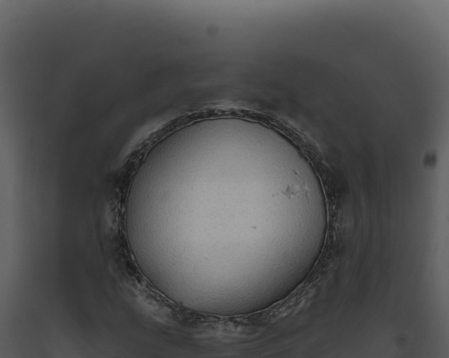 X0000093501207200710191242