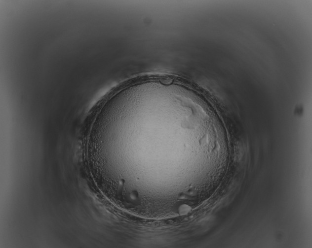 X0000093501208200710191242
