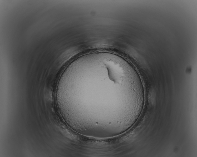 X0000093501209200710191242
