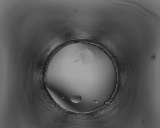 X0000093501210200710191242