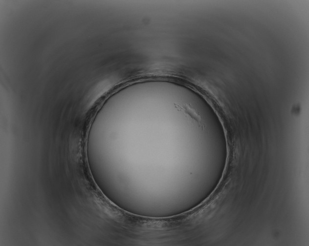 X0000093501211200710191242