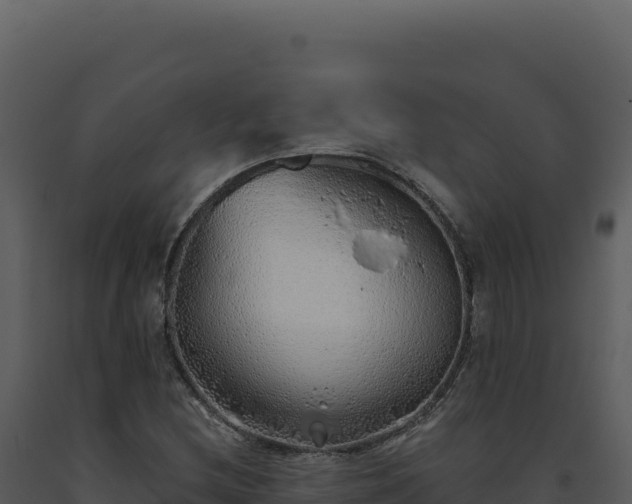 X0000093501212200710191242