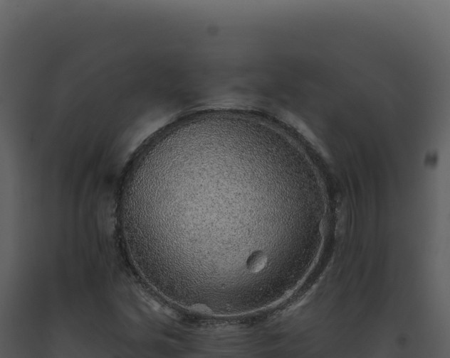 X0000093501213200710191242