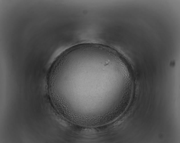 X0000093501215200710191242