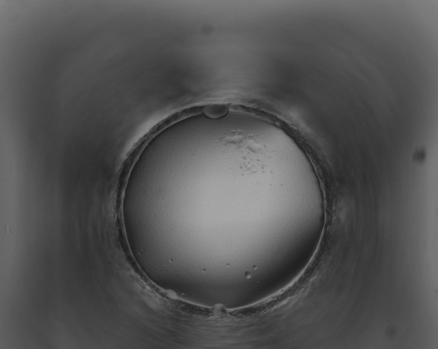 X0000093501216200710191242