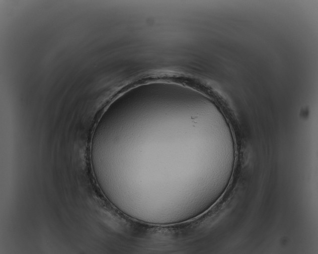 X0000093501217200710191242