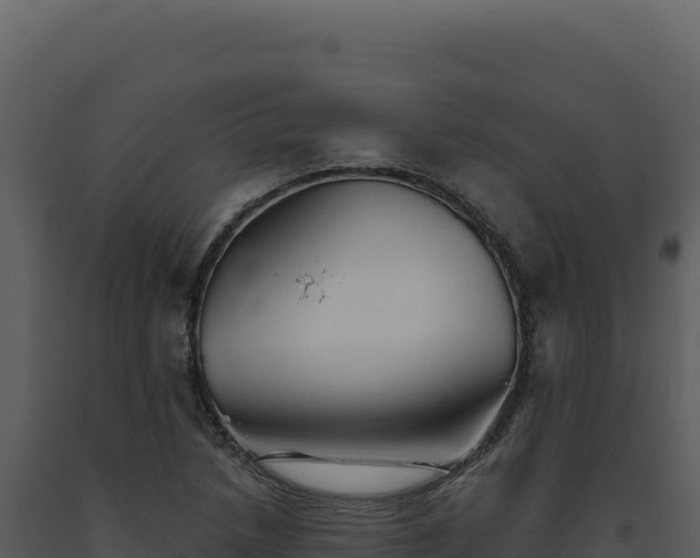 X0000093501218200710191242