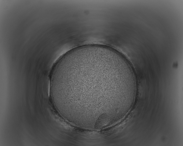 X0000093501219200710191242