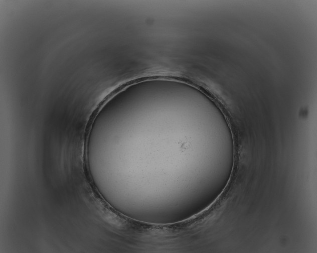X0000093501220200710191242