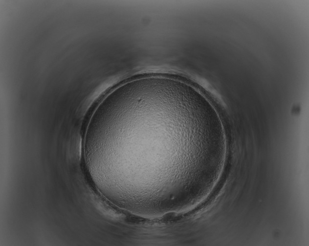 X0000093501221200710191242