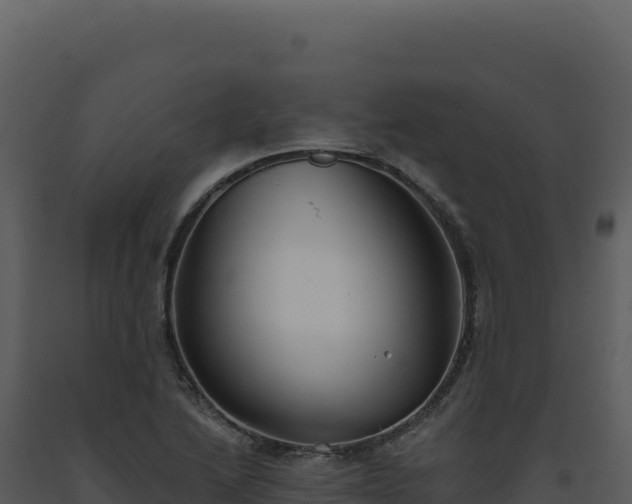 X0000093501222200710191242