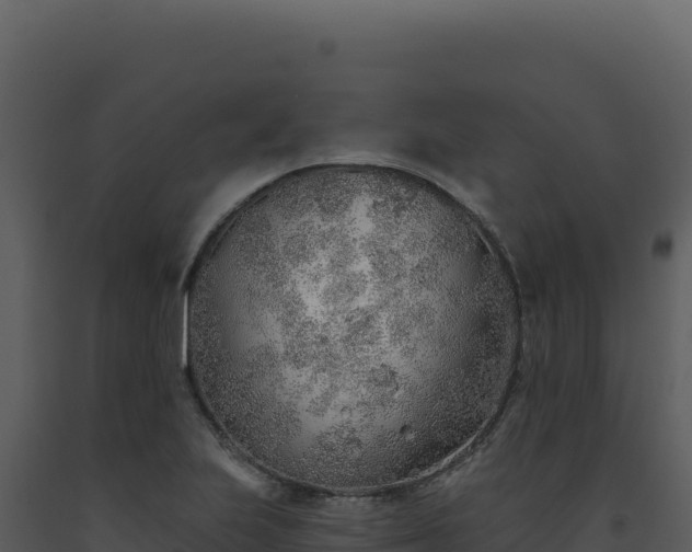 X0000093501223200710191242