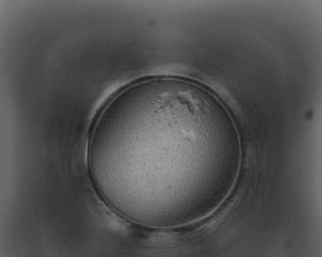 X0000093501224200710191242