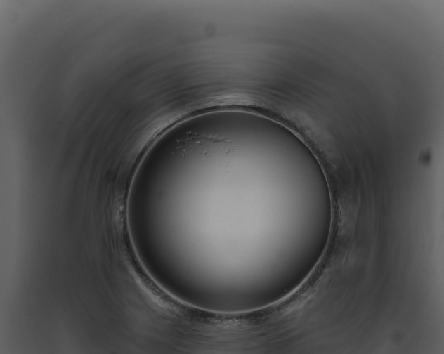X0000093501225200710191242