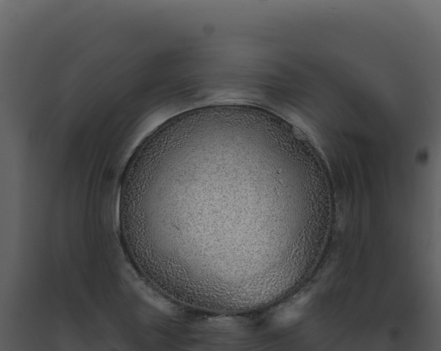 X0000093501227200710191242
