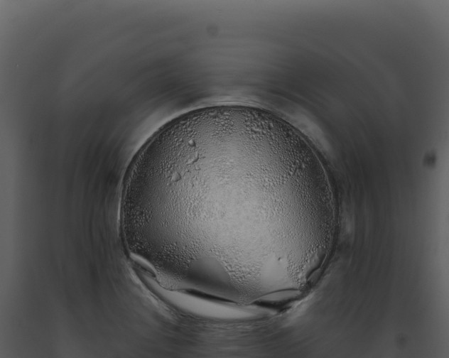 X0000093501228200710191242