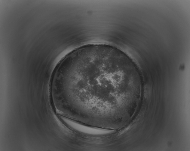 X0000093501229200710191242