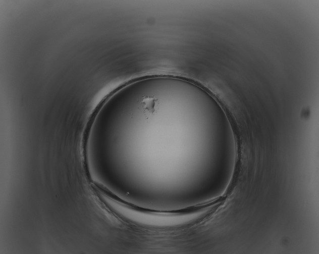 X0000093501230200710191242
