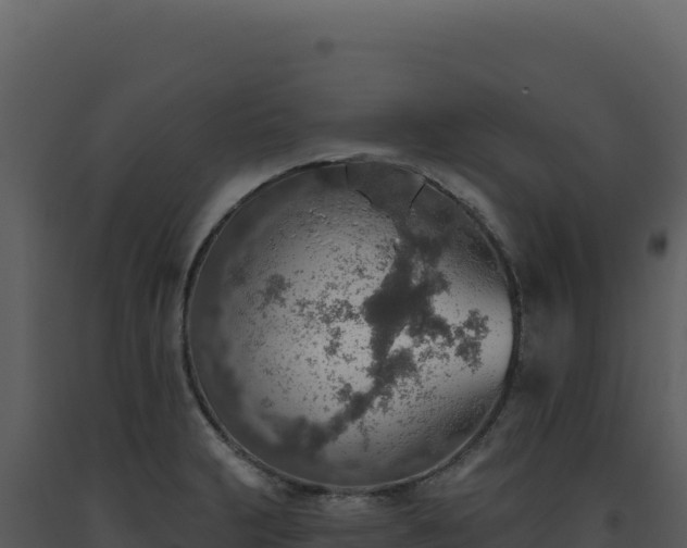 X0000093501231200710191242