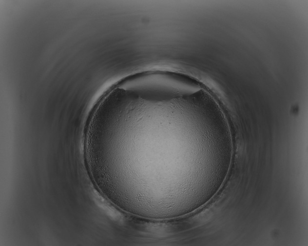 X0000093501232200710191242