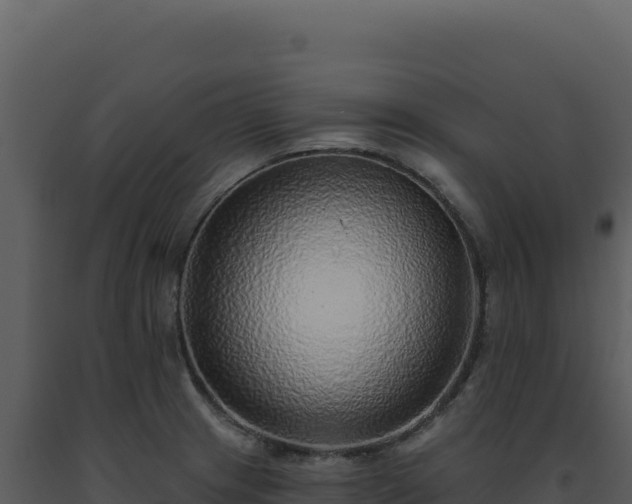 X0000093501233200710191242