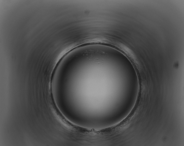 X0000093501234200710191242