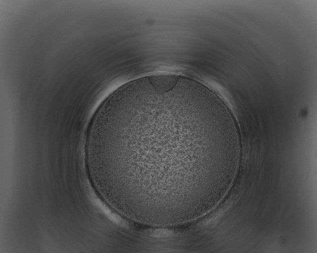 X0000093501235200710191242