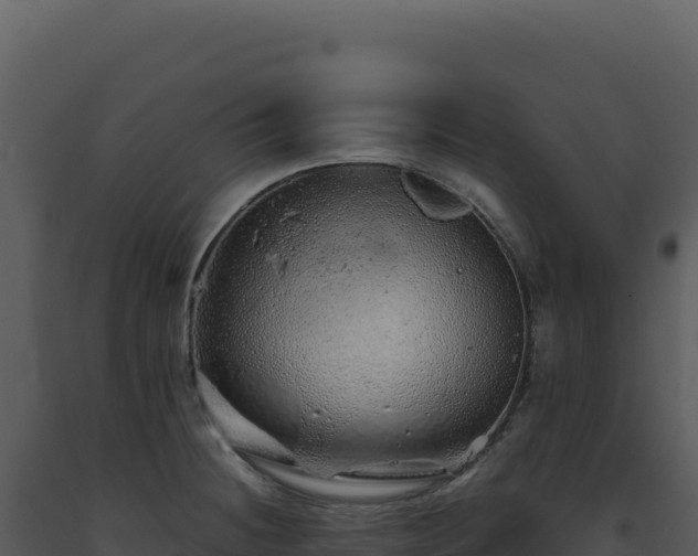 X0000093501236200710191242