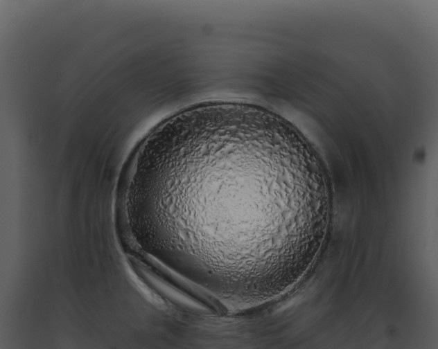 X0000093501237200710191242