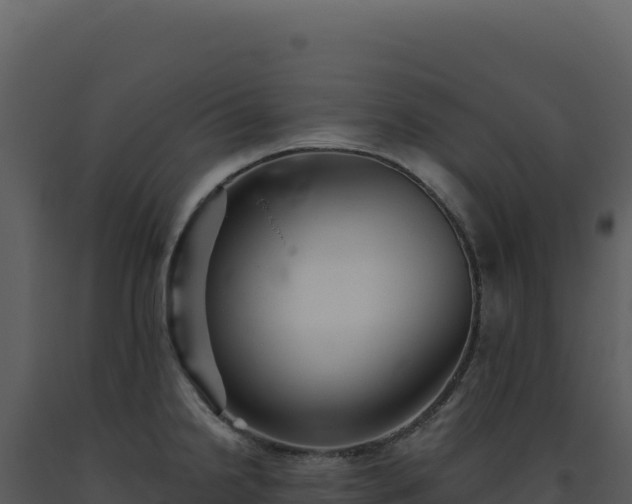 X0000093501238200710191242
