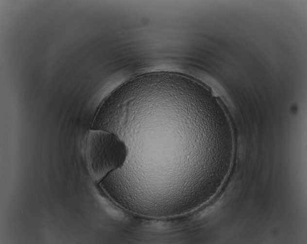 X0000093501241200710191242