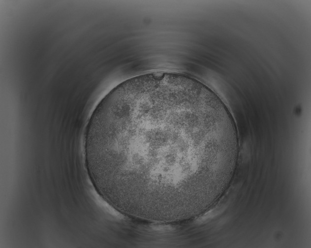 X0000093501243200710191242