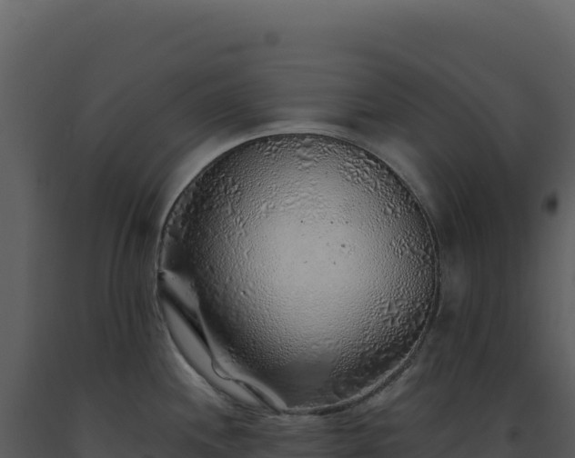 X0000093501244200710191242