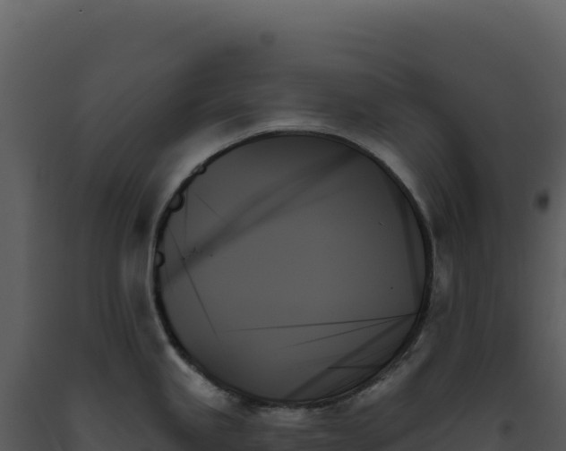 X0000093501245200710191242