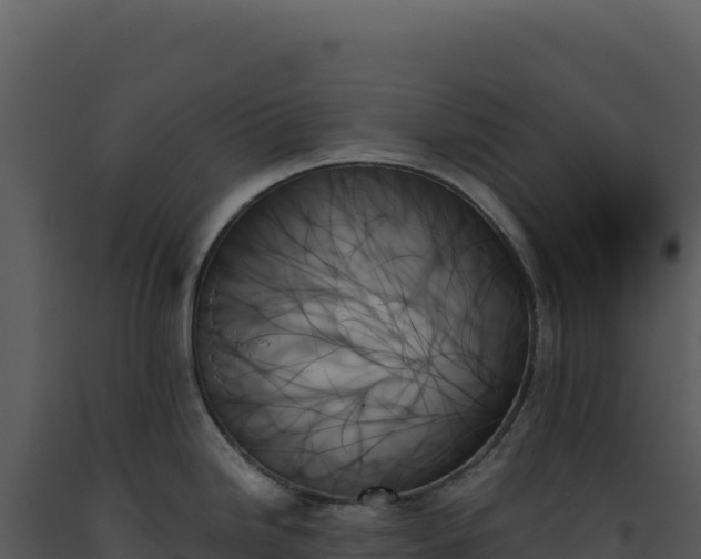 X0000093501246200710191242
