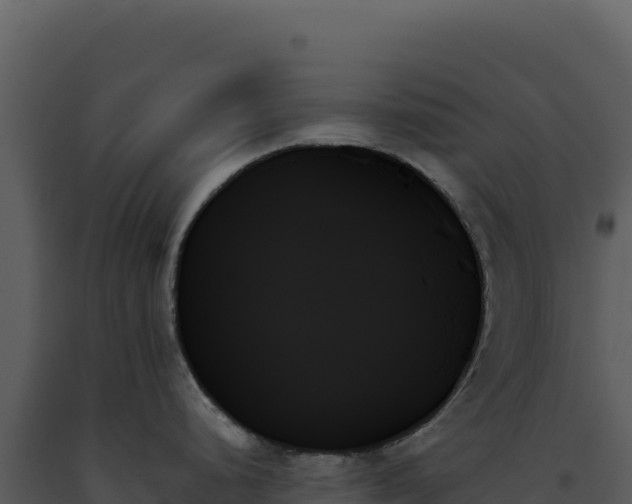 X0000093501248200710191242