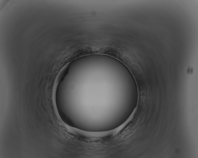 X0000093501249200710191242