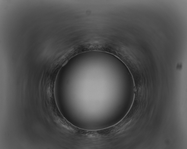 X0000093501250200710191242
