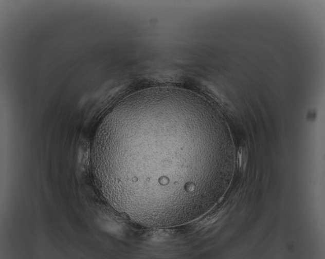X0000093501251200710191242