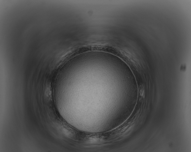 X0000093501252200710191242